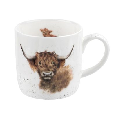 highland cow