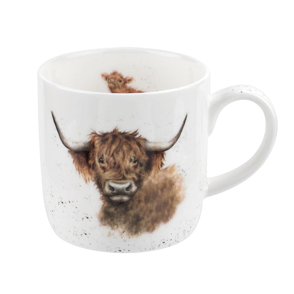 highland cow
