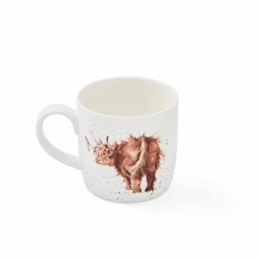 highland cow